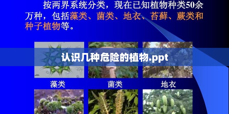 认识几种危险的植物.ppt