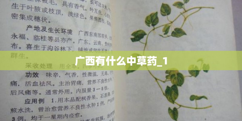 广西有什么中草药_1