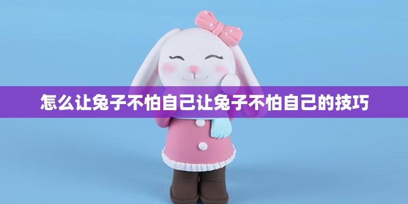 怎么让兔子不怕自己让兔子不怕自己的技巧 怎么让兔子不怕自己让兔子不怕自己的技巧