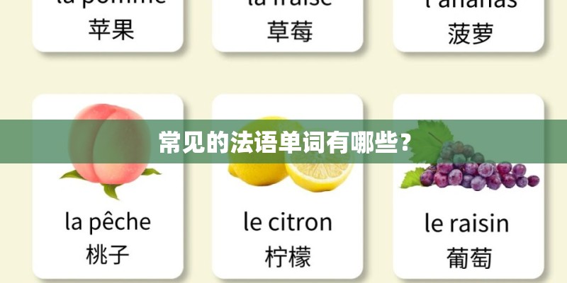常见的法语单词有哪些？