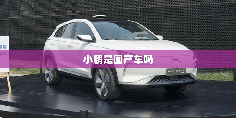 小鹏是国产车吗 小鹏是国产车吗