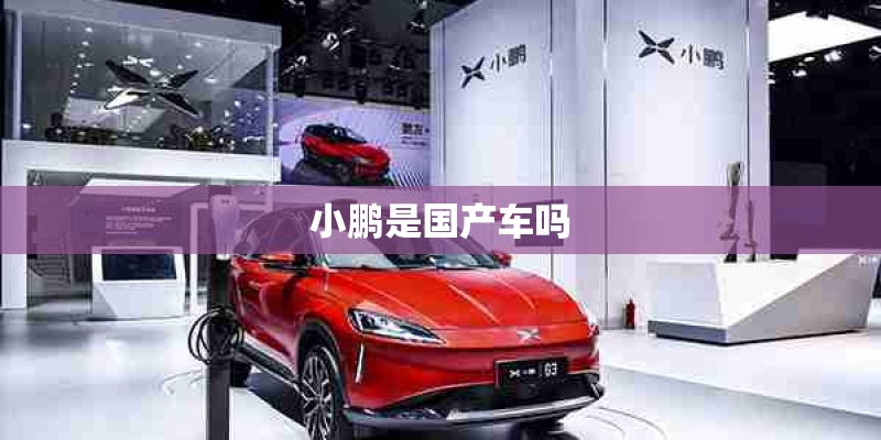 小鹏是国产车吗 小鹏是国产车吗