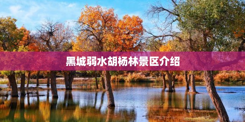 黑城弱水胡杨林景区介绍