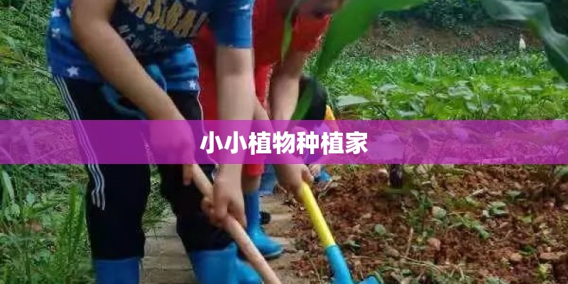 小小植物种植家
