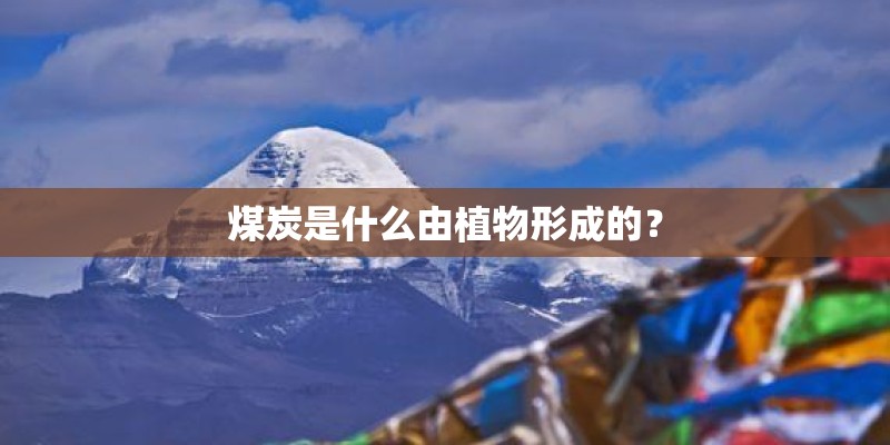 煤炭是什么由植物形成的？