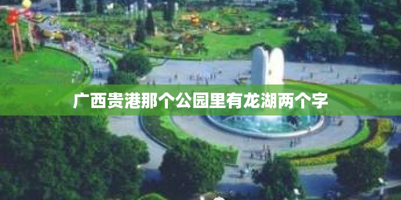 广西贵港那个公园里有龙湖两个字