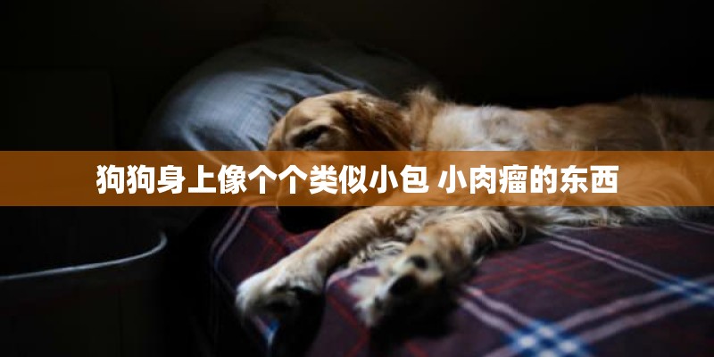 狗狗身上像个个类似小包 小肉瘤的东西 狗狗身上像个个类似小包 小肉瘤的东西