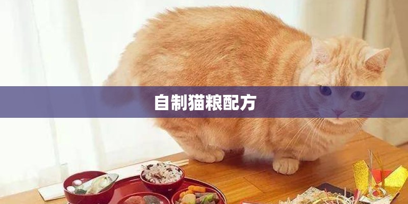 自制猫粮配方 自制猫粮配方