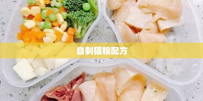 自制猫粮配方 自制猫粮配方