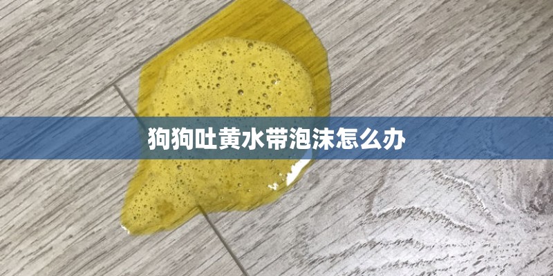 狗狗吐黄水带泡沫怎么办