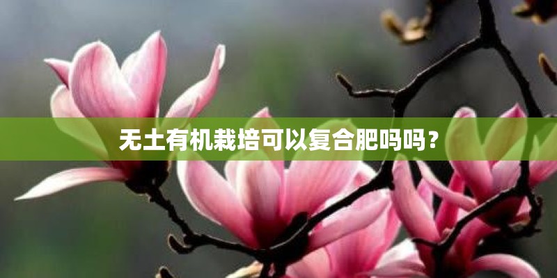 无土有机栽培可以复合肥吗吗？
