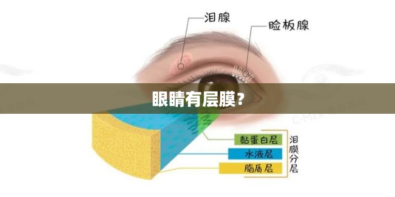 眼睛有层膜? 眼睛有层膜?