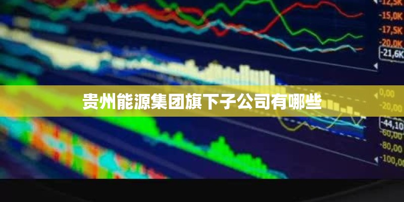 贵州能源集团旗下子公司有哪些