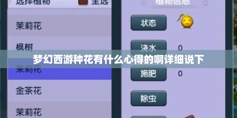 何为虞美人？