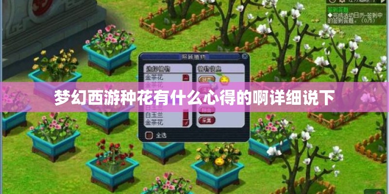 何为虞美人？