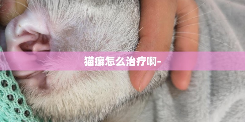 猫癣怎么治疗啊-