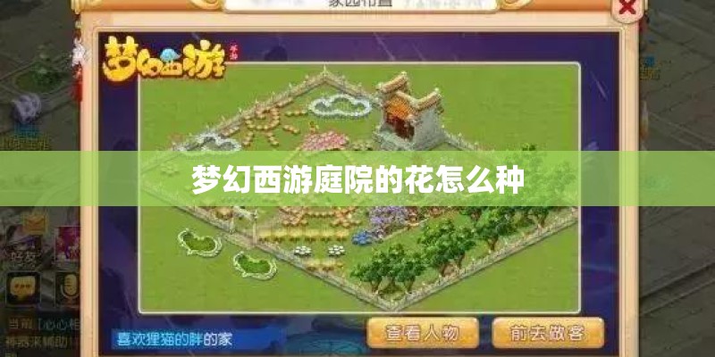 梦幻西游庭院的花怎么种