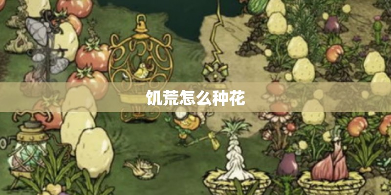 饥荒怎么种花