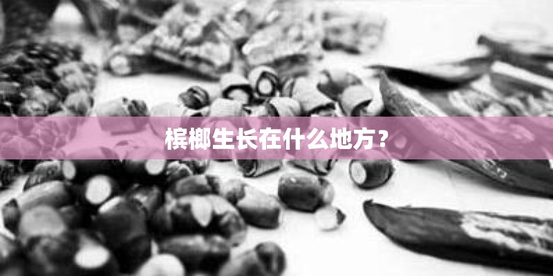 槟榔生长在什么地方？