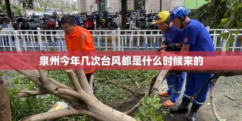 泉州今年几次台风都是什么时候来的