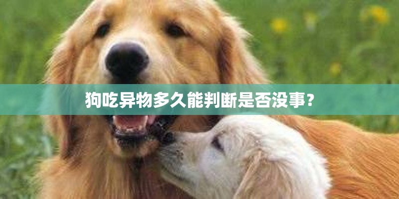 葫芦央怎样架接鸡冠花