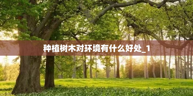 种植树木对环境有什么好处_1