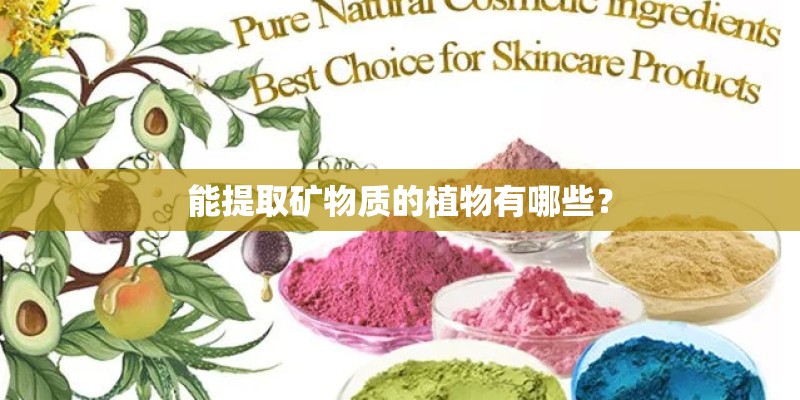 能提取矿物质的植物有哪些？