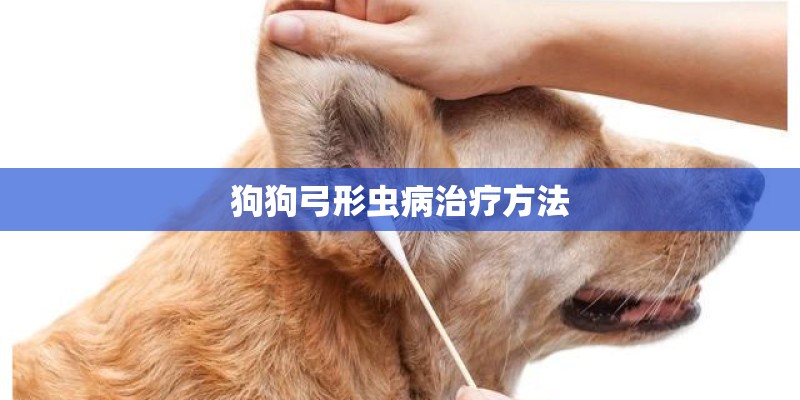 狗狗弓形虫病治疗方法 狗狗弓形虫病治疗方法