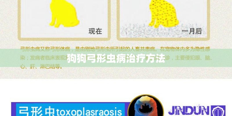 狗狗弓形虫病治疗方法