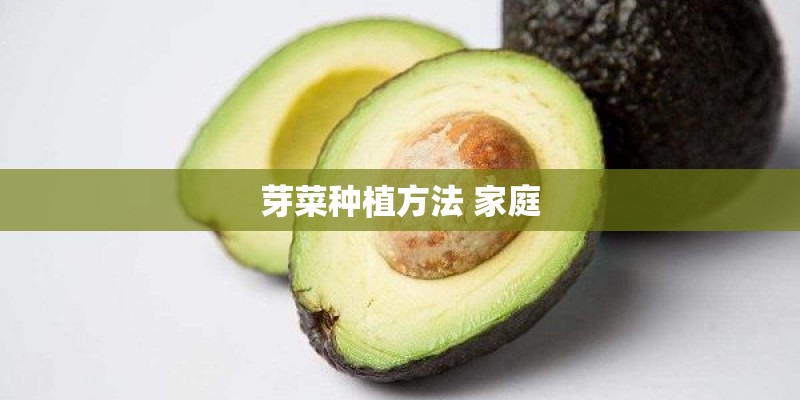 芽菜种植方法 家庭