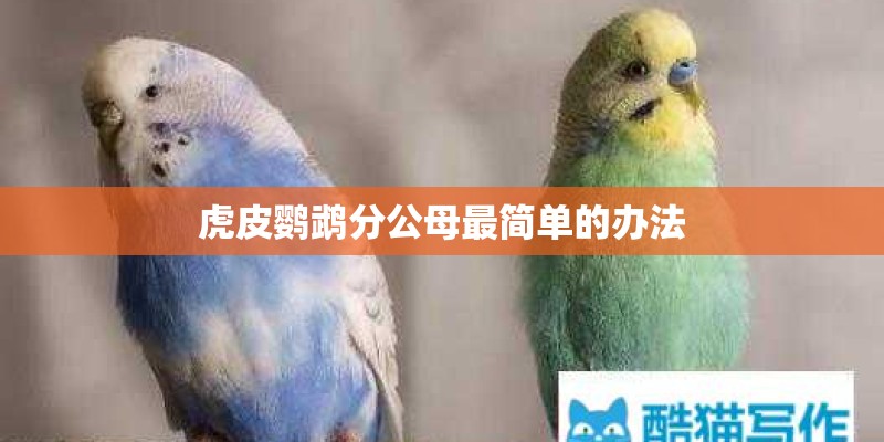 虎皮鹦鹉分公母最简单的办法 虎皮鹦鹉分公母最简单的办法