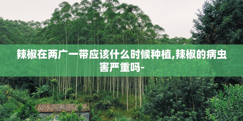 辣椒在两广一带应该什么时候种植,辣椒的病虫害严重吗-