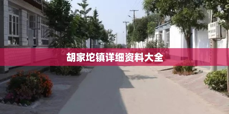 胡家坨镇详细资料大全