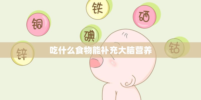 吃什么食物能补充大脑营养 吃什么食物能补充大脑营养