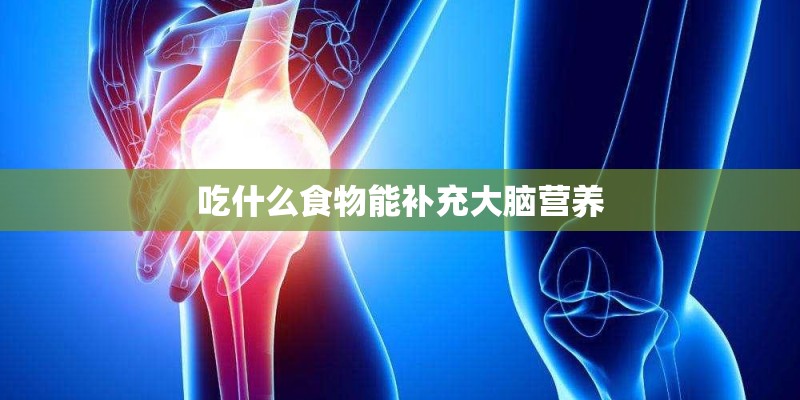 吃什么食物能补充大脑营养 吃什么食物能补充大脑营养