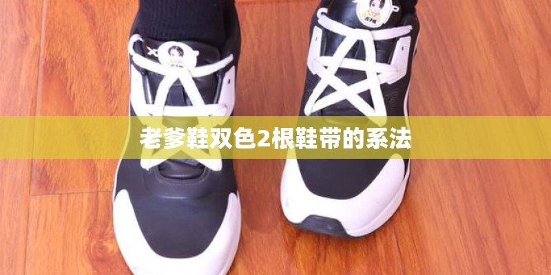 老爹鞋双色2根鞋带的系法