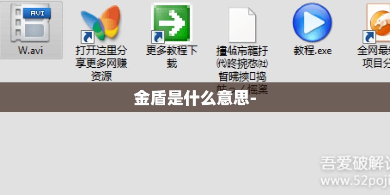 金盾是什么意思-
