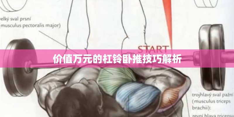 价值万元的杠铃卧推技巧解析