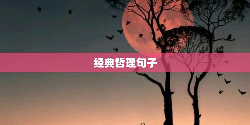 经典哲理句子