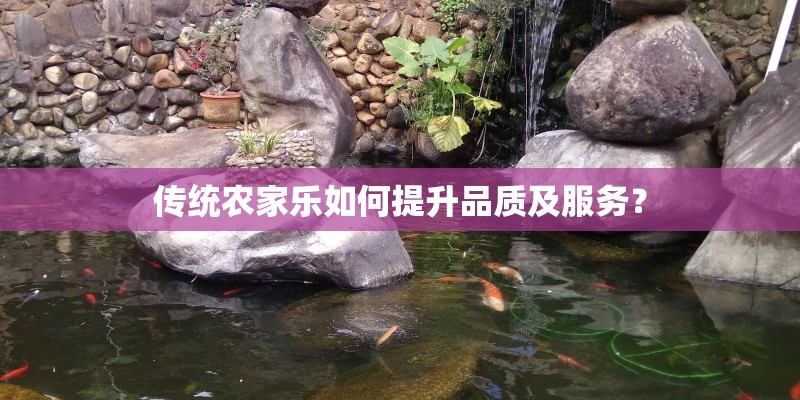 传统农家乐如何提升品质及服务？