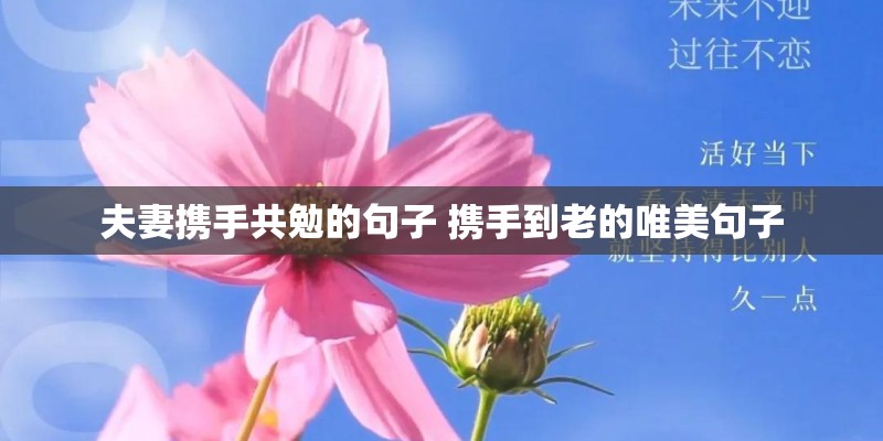 夫妻携手共勉的句子 携手到老的唯美句子