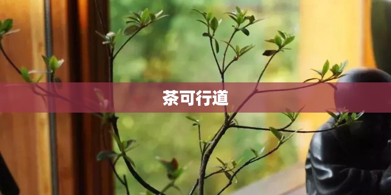 茶可行道 茶可行道