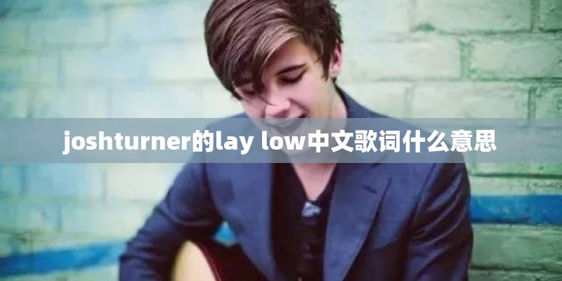joshturner的lay low中文歌词什么意思