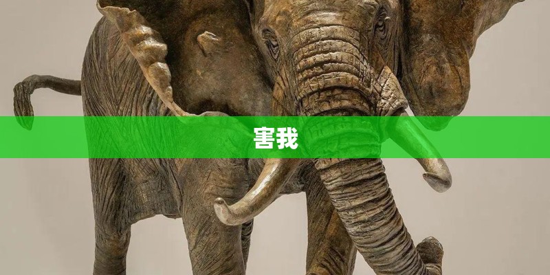 害我