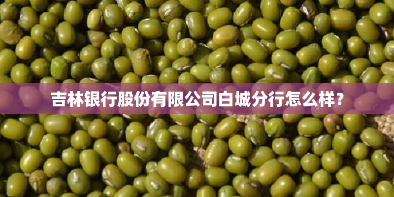 吉林银行股份有限公司白城分行怎么样？