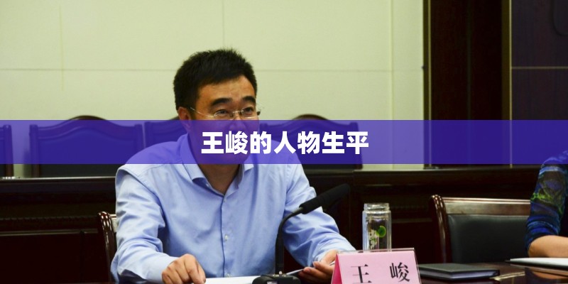王峻的人物生平