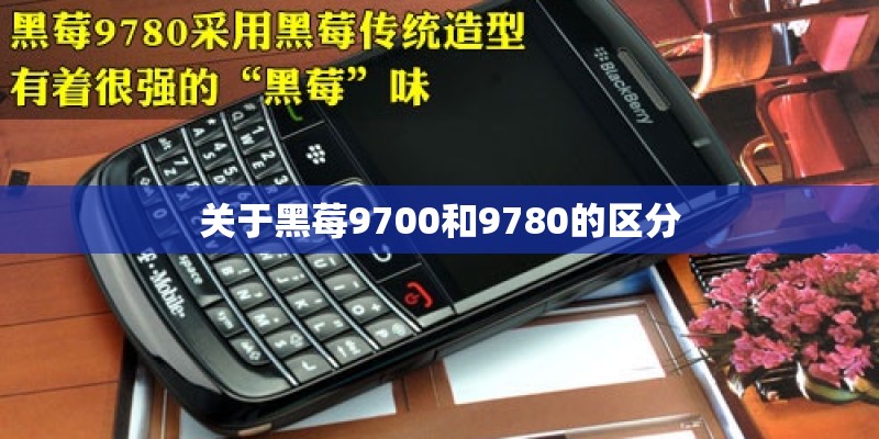 关于黑莓9700和9780的区分