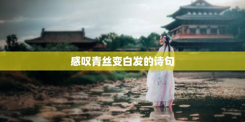 感叹青丝变白发的诗句