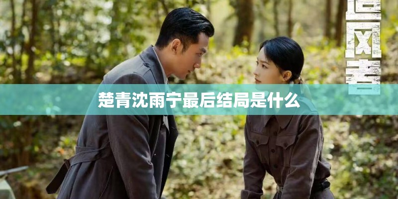 楚青沈雨宁最后结局是什么