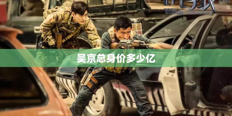 吴京总身价多少亿
